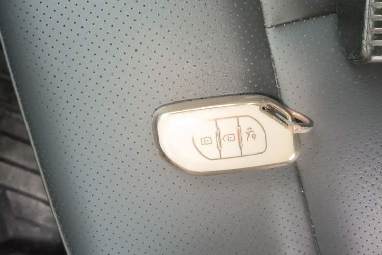 Used FORTHING T5 EVO 2024 Kungfeng Edition 1.5TD DCT Custom Model
