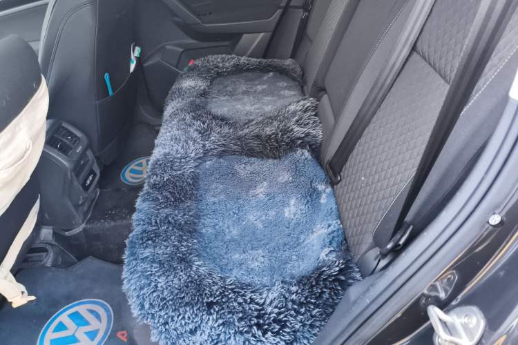 Used Volkswagen Tayron 2021 280TSI Two-Wheel Drive Comfort Connect Edition Left Rear Seat