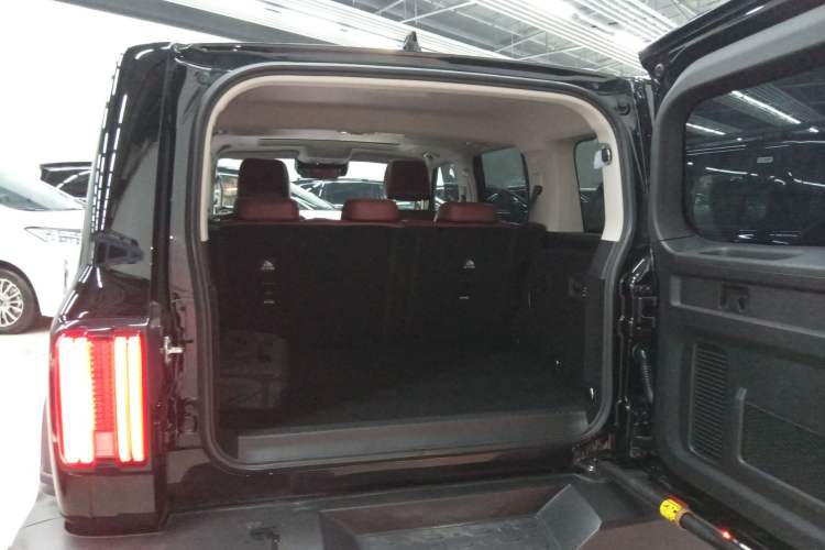 Used Tank 300 New Energy 2025 Hi4-T