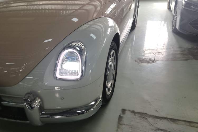 Used ORA Ballet Cat 2023 401 km Luxury Version