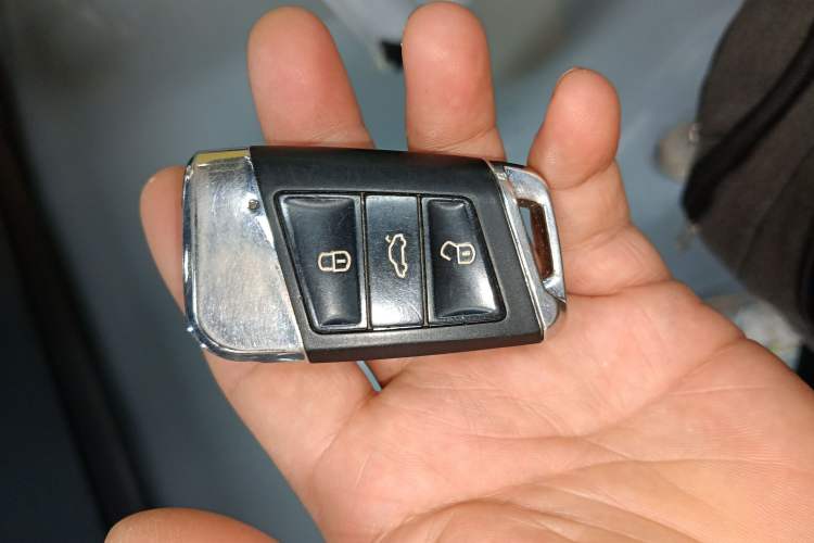 Used Volkswagen Golf Pure Electric 2020 Chari
