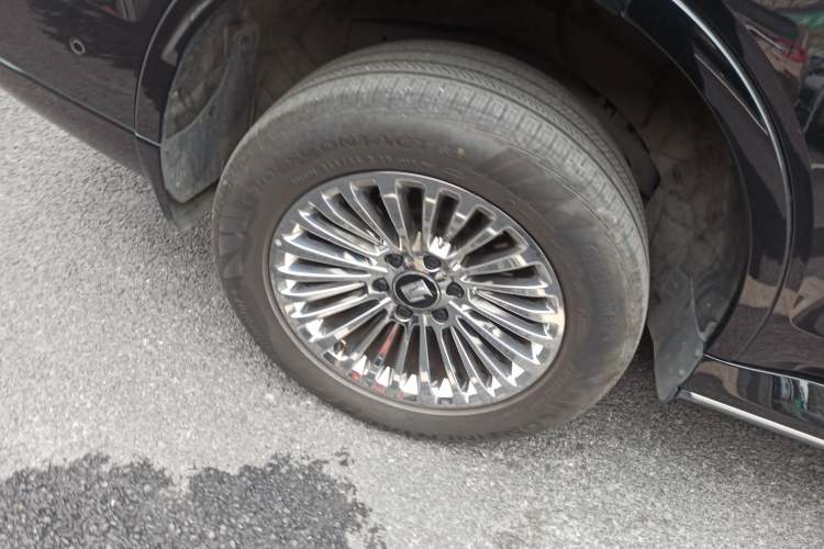 Used Tank 500 2022 3.0T Business Edition "Creation Realm" Design 5-Seater