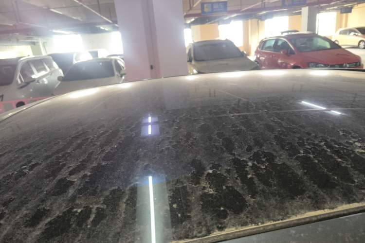 Used BYD Song L EV 2024 662 km Excellence Version