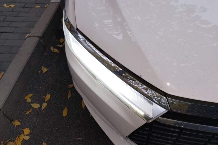 Used BYD Qin New Energy 2019 High-Range Luxury Model