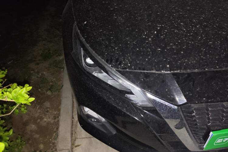 Used Nissan Teana 2020 2.0L XL Upper SmartDrive Version
