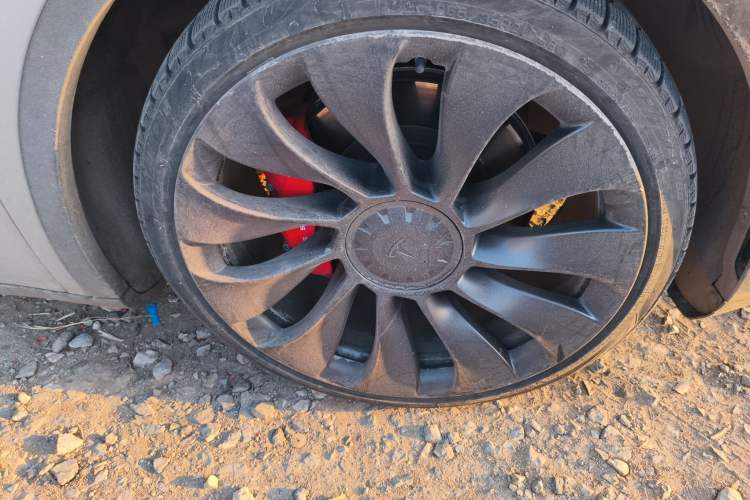 Used Tesla Model Y 2023 High-Performance All-Wheel-Drive Version