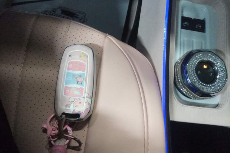 Used Geely Galaxy Panda 2024 Panda Mini 200km Endurance Bear
