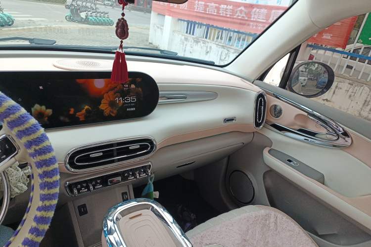 Used ORA Ballet Cat 2022 401 km Nutcracker Edition