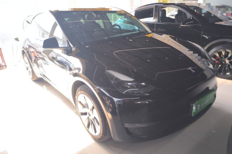 Used Tesla Model Y 2021 Standard Range Rear-Wheel Drive Version
