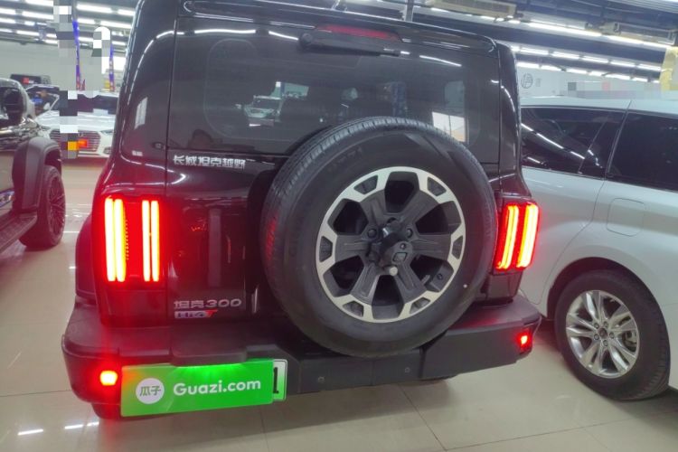 Used Tank 300 New Energy 2025 Hi4-T Rear