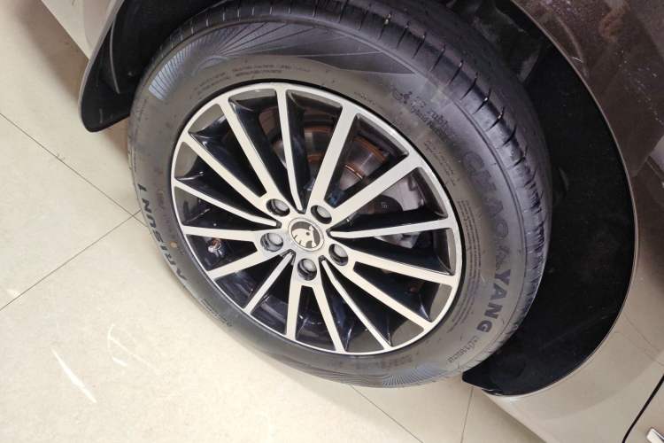 Used Skoda Octavia 2019 TSI230 DSG Luxury Edition