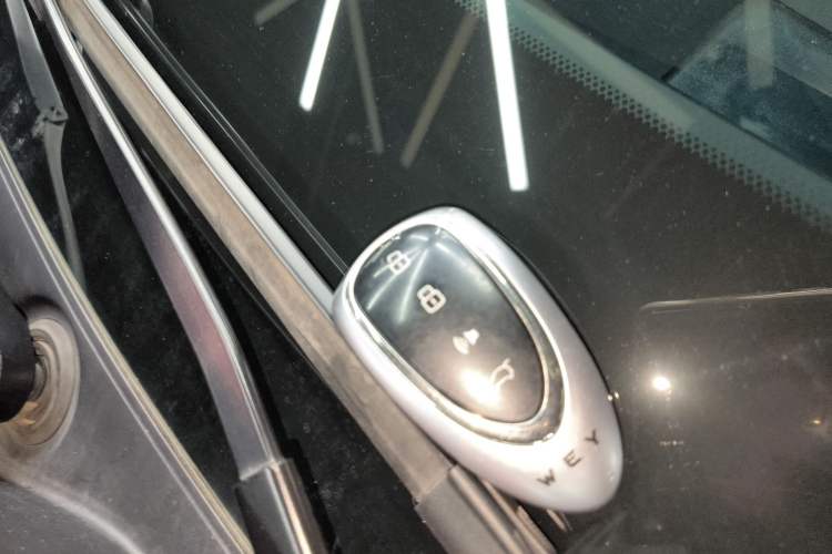 Used Wey Lanshan 2023 Four-Wheel Drive Ultra-Long Range Version