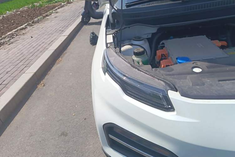 Used Dayun Yuehu 2021 Revised Version 32.85 kWh Two-Wheel Drive Sprite Edition
