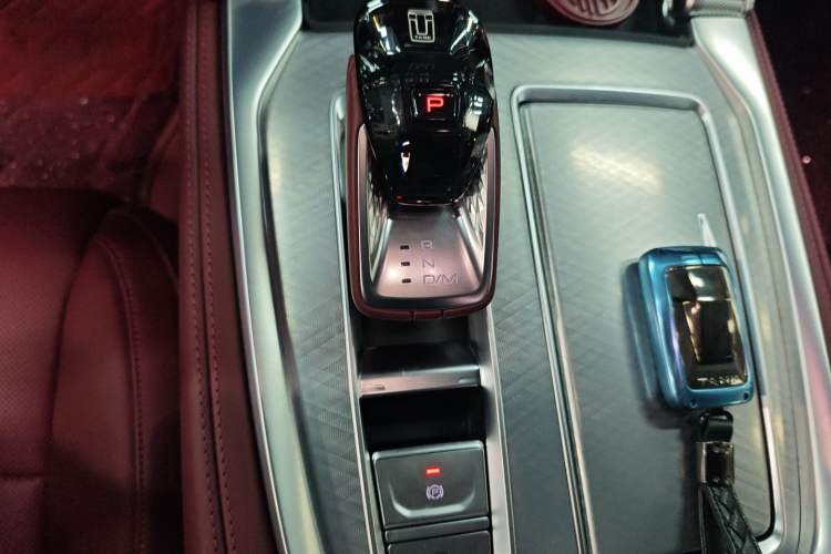 Used Tank 700 New Energy 2024 Hi4-T Extreme Edition Gear Lever