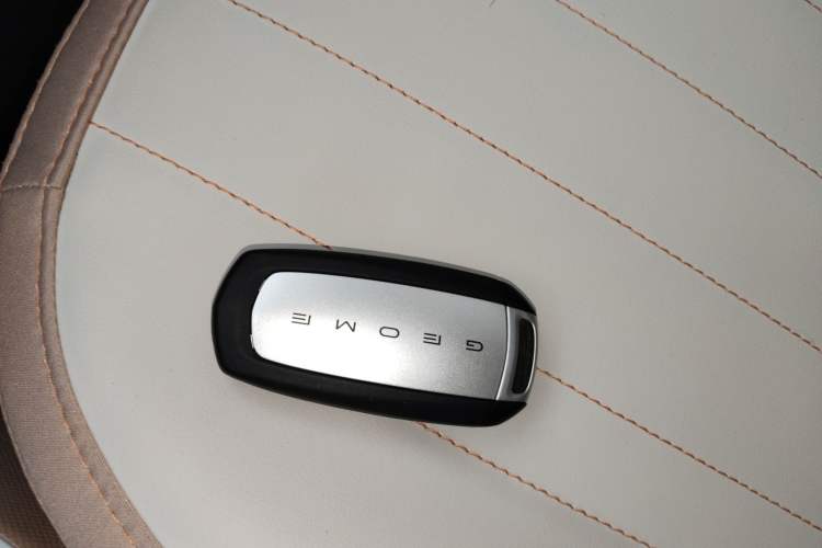 Used Geely Galaxy Panda 2024 Panda Mini 200km Endurance Bear Vehicle Key