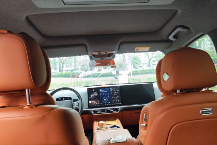 Used Li Auto L9 2022 Max model Headliner