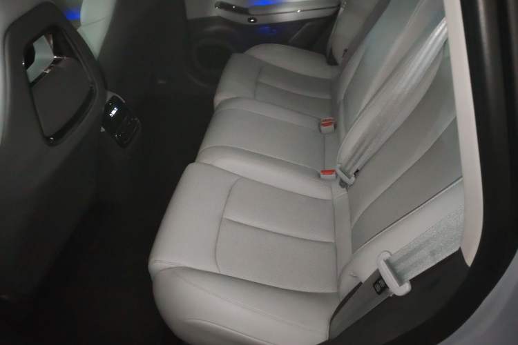 Used Leapmotor C01 2024 Pure Electric 525 Luxury Edition Left Rear Seat