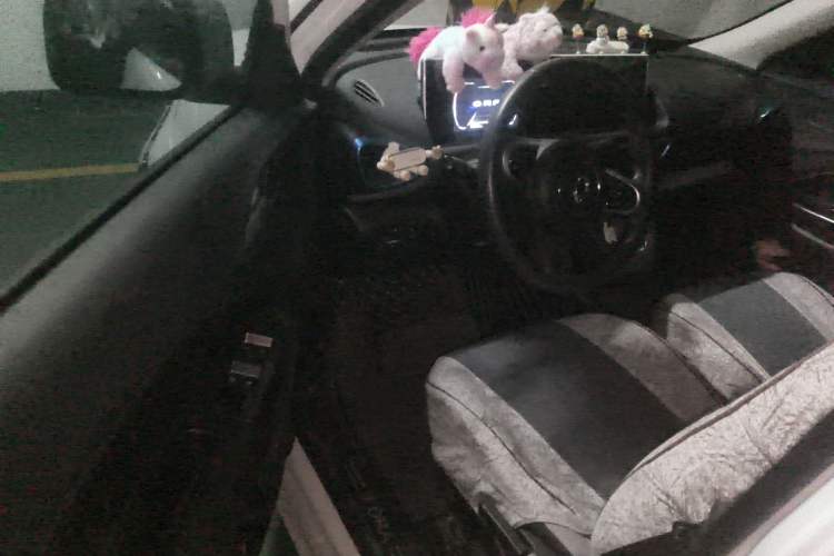 Used ORA White Cat 2020 305 km Luxury Version