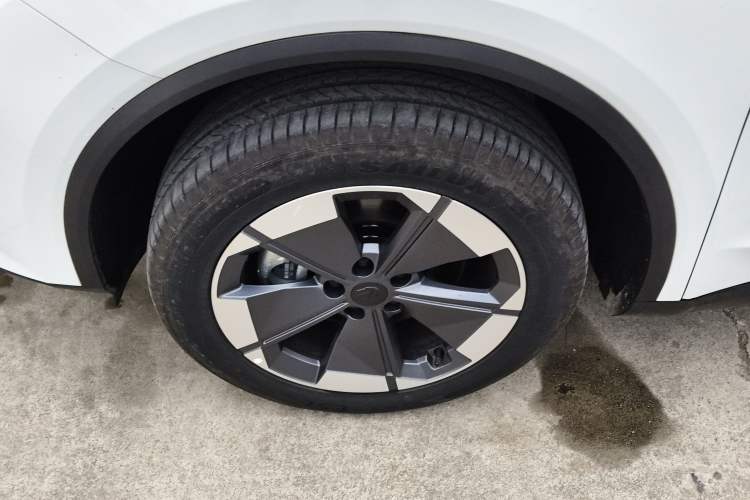 Used Livan Maple 80v L 2024 515 km Range 7 Seats
