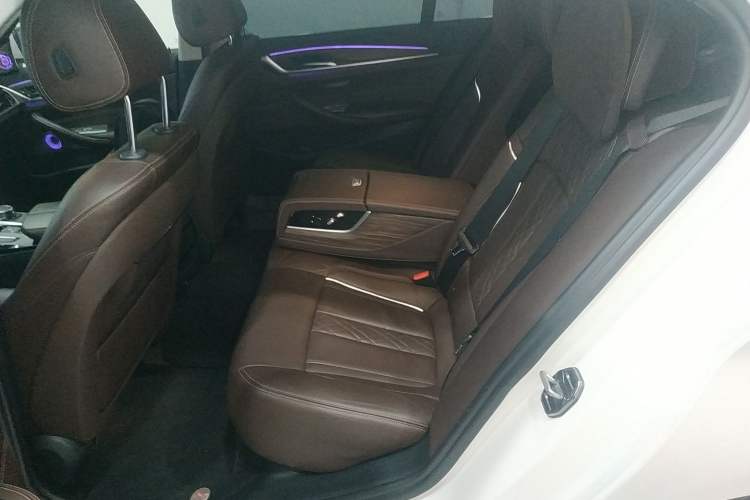 Used BMW 5 Series New Energy 2019 530Le Luxury Package
