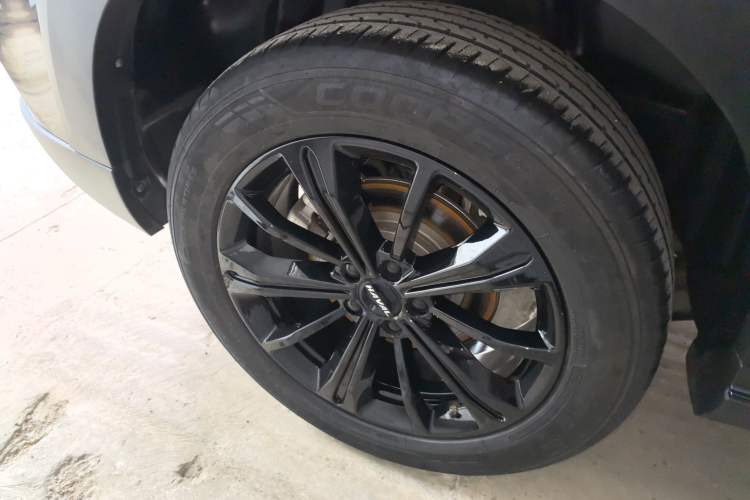 Used Haval H6S 2022 2.0T Two-Wheel Drive ZhiRun Version
