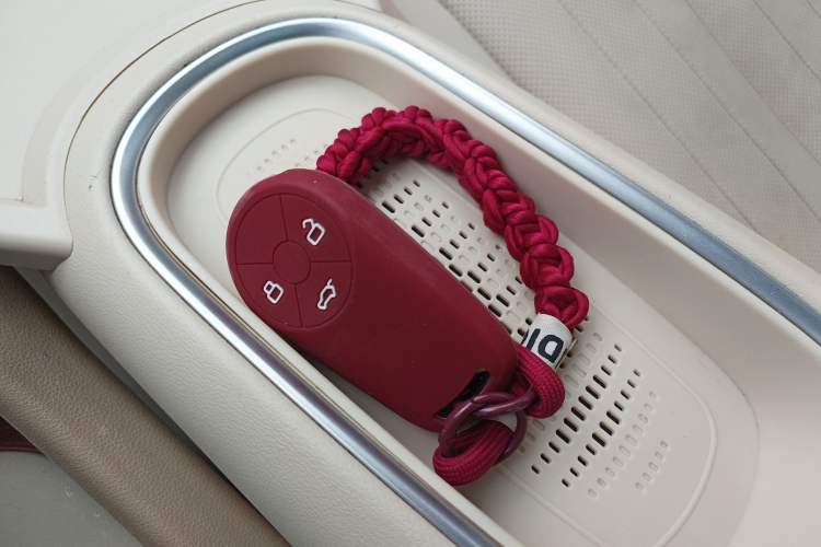 Used ORA Good Cat 2023 401 km Standard Range Prestige Version Lithium Iron Phosphate