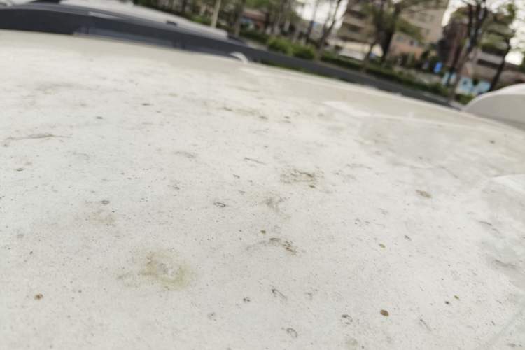 Used Wuling Hongguang S3 2019 1.5L Manual Standard Version China VI Standard Roof