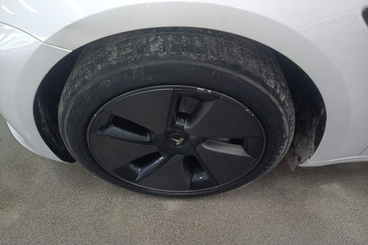 Used Tesla Model 3 2022 Rear-Wheel-Drive Version Exterior 4