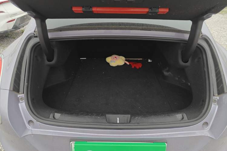 Used ORA Lightning Cat 2022 555 km Luxury Edition
