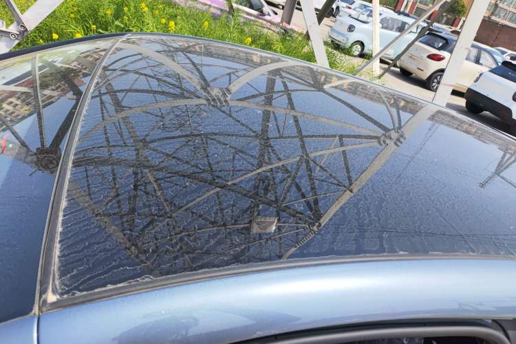 Used Chery Little Ant 2024 Revised Version Youth Edition 251 km True Love Edition 25.05 kWh Roof