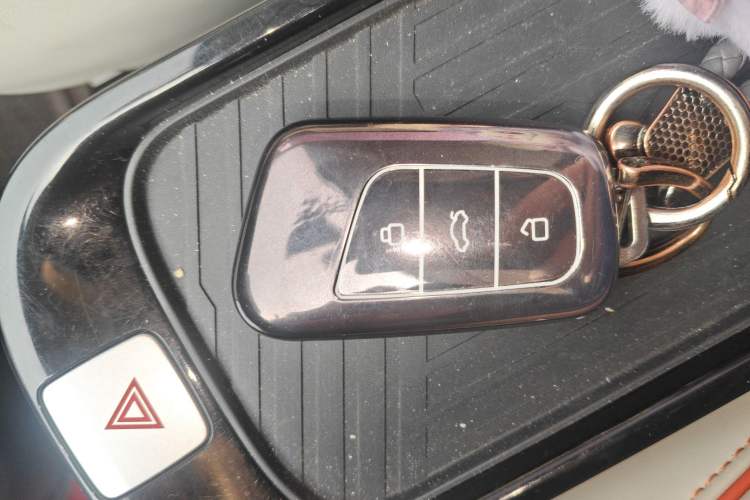 Used Chery Little Ant 2024 321km Love Edition