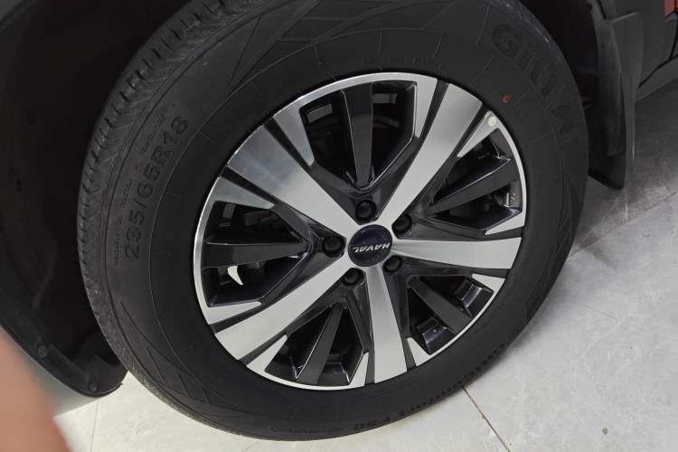 Used Haval DARGO 2021 1.5T DCT Two-Wheel Drive Labrador Edition
