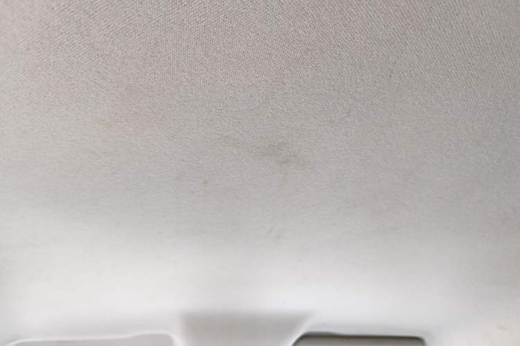 Used Leapmotor T03 2023 403 Lite Edition Headliner