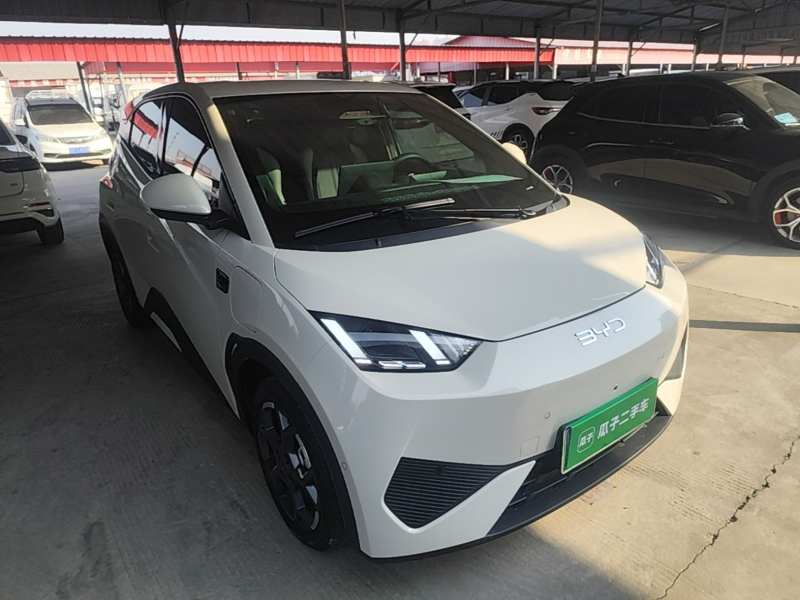 Used BYD Seagull 2025 Smart Drive Version 305 km Freedom Edition — 3