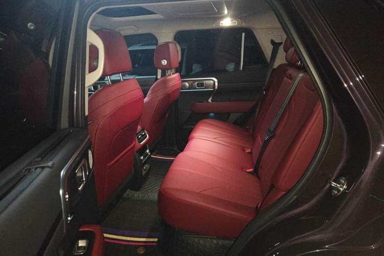 Used Tank 400 New Energy 2026 Model—Hi4-T Smart Enjoyment Version Left Rear Seat