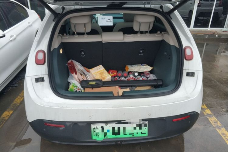 Used firefly 2025 Illuminated Edition
