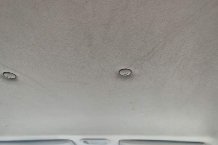 Used FORTHING Lingzhi 2020 M5L 2.0L Base Model 7 Seats Headliner