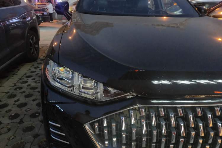 Used Wey Mocha New Energy 2022 1.5T Zero-Anxiety Performance Edition
