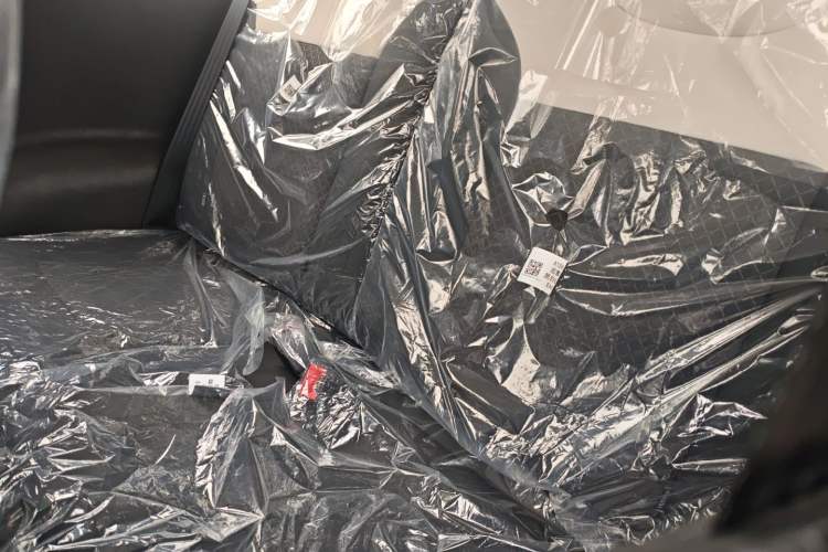 Used CHANGAN NEVO Lumin 2026 Model Treasure Edition 205km Passionate Beige Ningde Left Rear Seat