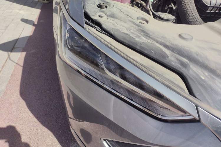 Used BYD Qin PLUS 2023 Champion Edition DM-i 55KM Leading Model
