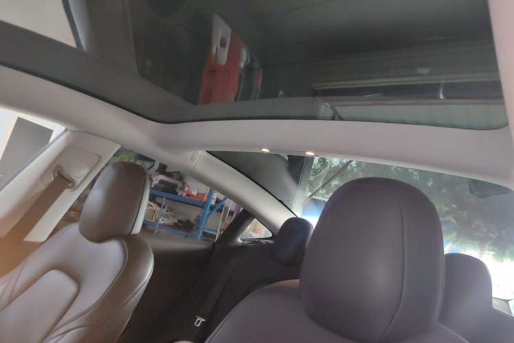 Used Tesla Model 3 2020 Revised Version Standard Range Rear-Wheel Drive – Upgraded Edition Headliner