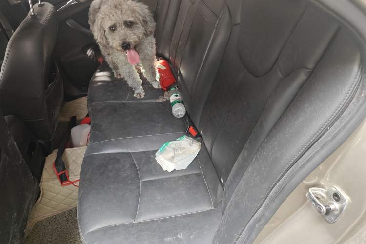 Used Roewe 360 2015 1.5L Manual Luxury Edition
