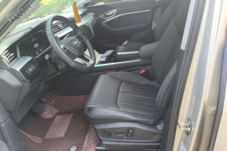 Used Audi e-tron 2021 50 quattro Luxury Edition Left Front Seat