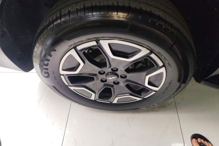 Used Formula Leopard Tai 7 2025 Model 200 km Two-Wheel Drive Max Edition