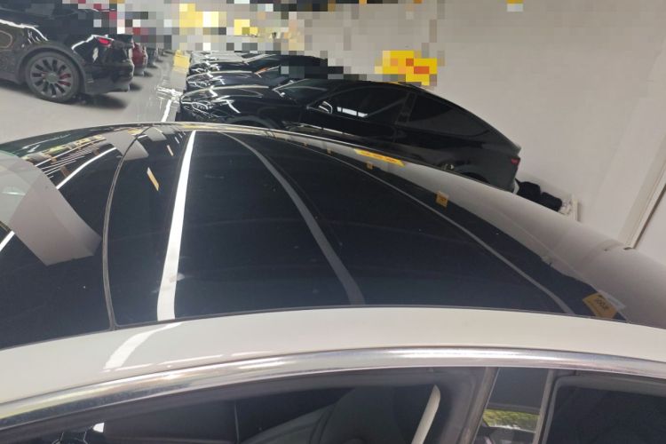 Used Tesla Model 3 2019 Long-Range All-Wheel-Drive Version Roof