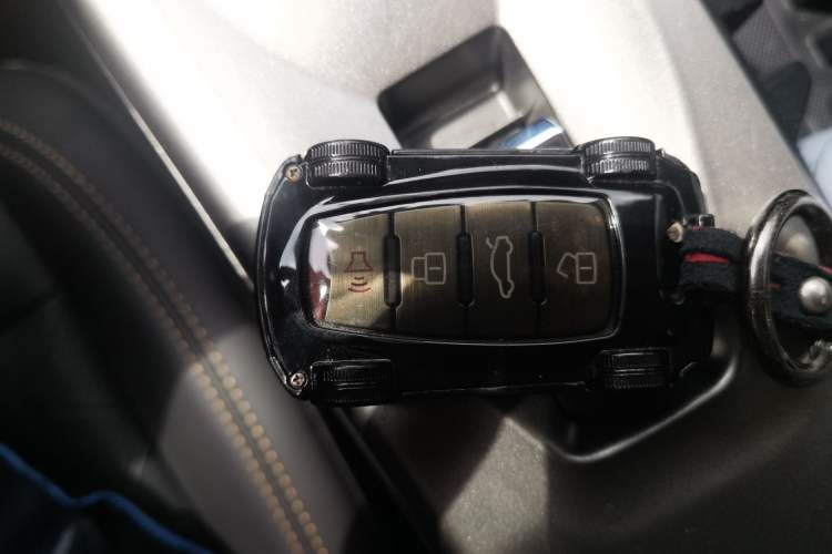 Used Haval DARGO 2024 2.0T DCT Chinese Rural Dog Edition