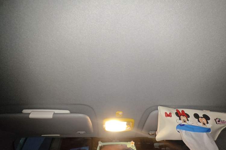 Used Chery QQ Ice Cream 2022 170km Sundae Phosphate Lithium-Ion Headliner