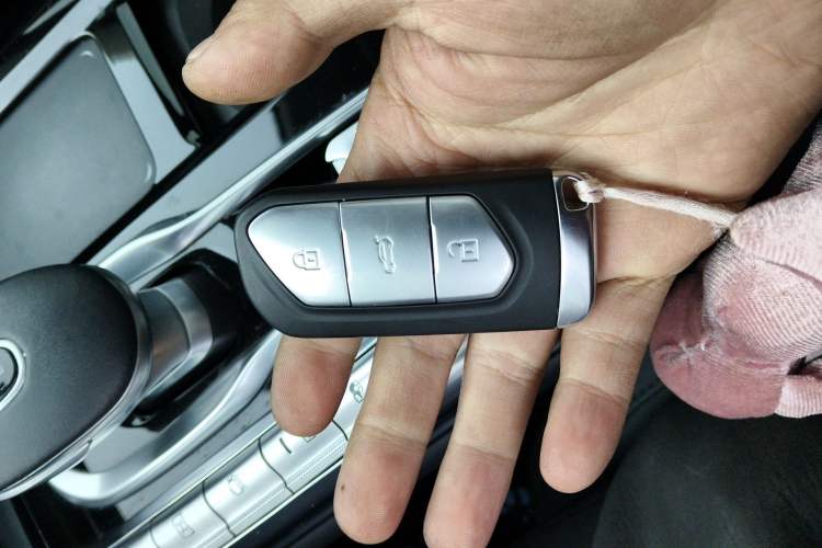 Used VOYAH FREE 2021 Four-Wheel Drive Standard Range-Extended Exclusive Luxury Package
