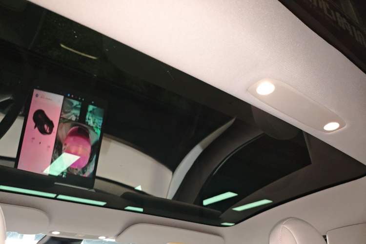 Used Tesla Model 3 2021 Standard Range Rear-Drive Upgraded Version Headliner