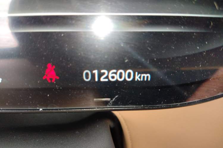 Used Land Rover Range 2025 3.0 L6 400 PS Extended Luxury Edition Odometer Close Up